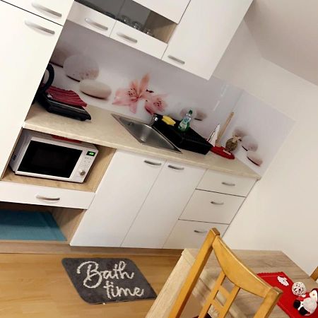 Apartments And Wellness Scavnicar Ljutomer ภายนอก รูปภาพ