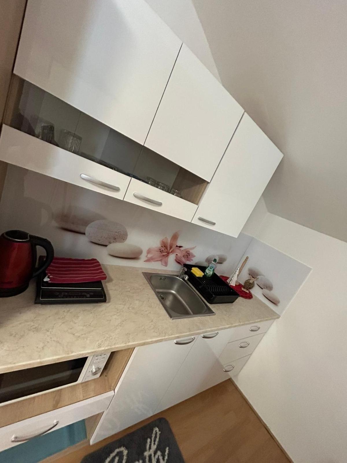 Apartments And Wellness Scavnicar Ljutomer ภายนอก รูปภาพ